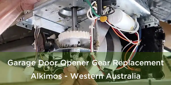 Garage Door Opener Gear Replacement Alkimos - Western Australia
