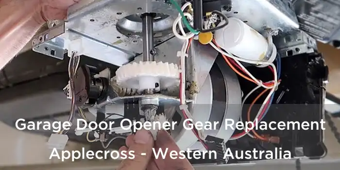 Garage Door Opener Gear Replacement Applecross - Western Australia