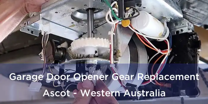 Garage Door Opener Gear Replacement Ascot - Western Australia