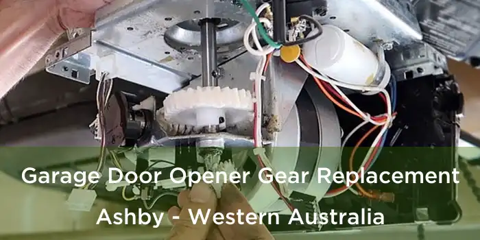 Garage Door Opener Gear Replacement Ashby - Western Australia