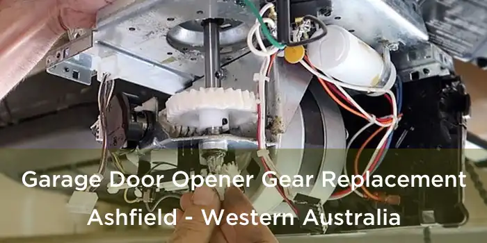 Garage Door Opener Gear Replacement Ashfield - Western Australia