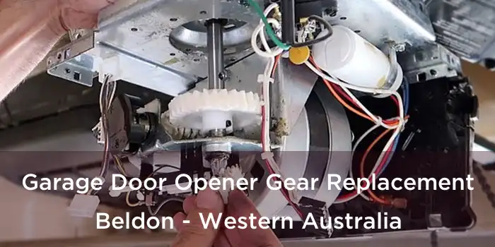Garage Door Opener Gear Replacement Beldon - Western Australia