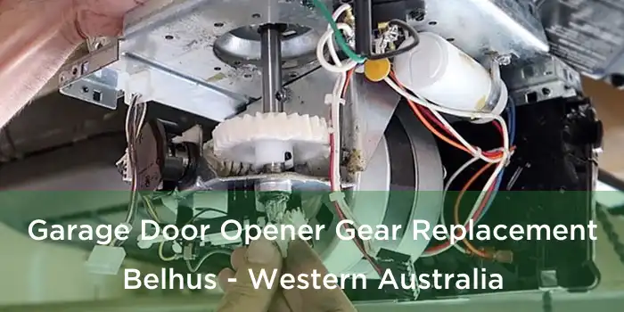 Garage Door Opener Gear Replacement Belhus - Western Australia