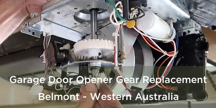 Garage Door Opener Gear Replacement Belmont - Western Australia