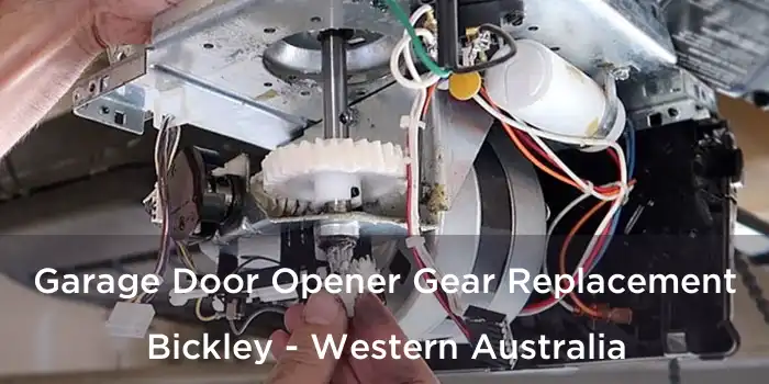 Garage Door Opener Gear Replacement Bickley - Western Australia