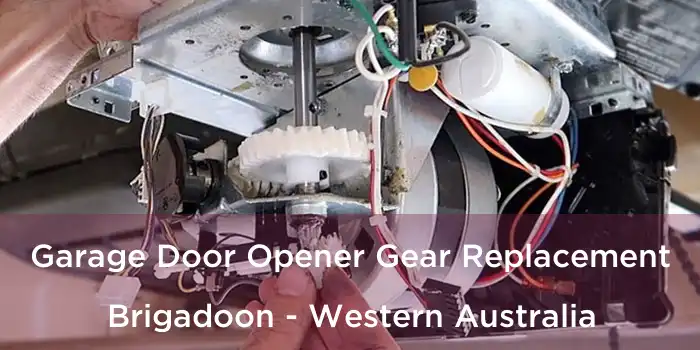 Garage Door Opener Gear Replacement Brigadoon - Western Australia