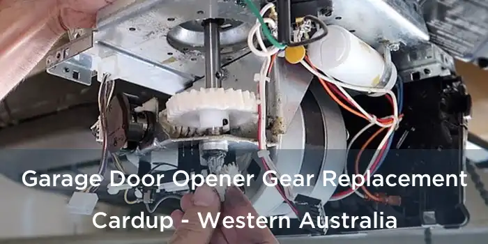 Garage Door Opener Gear Replacement Cardup - Western Australia