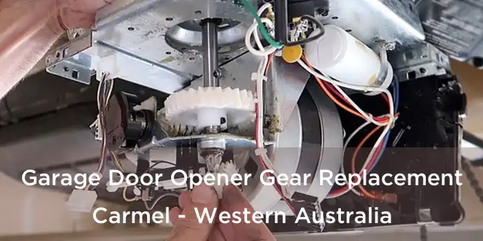 Garage Door Opener Gear Replacement Carmel - Western Australia