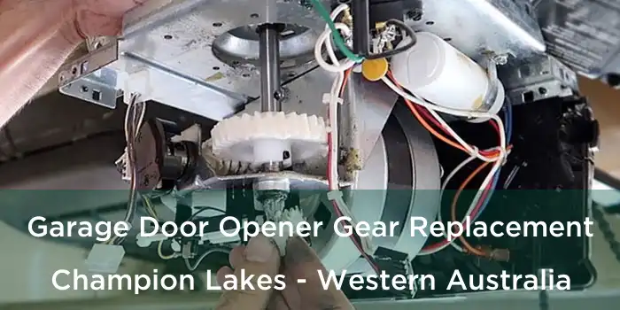 Garage Door Opener Gear Replacement Champion Lakes - Western Australia