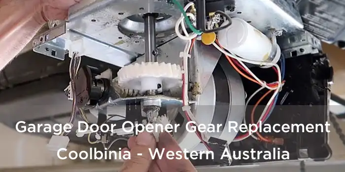 Garage Door Opener Gear Replacement Coolbinia - Western Australia