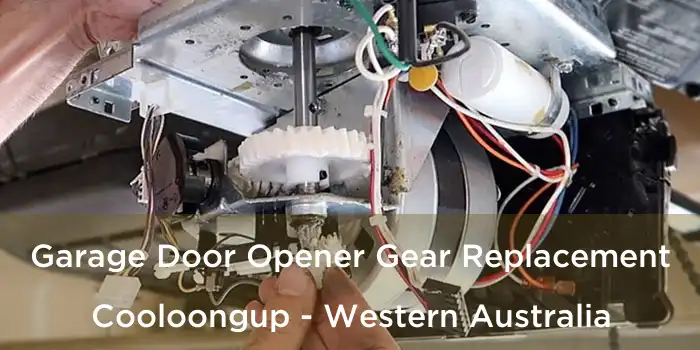 Garage Door Opener Gear Replacement Cooloongup - Western Australia