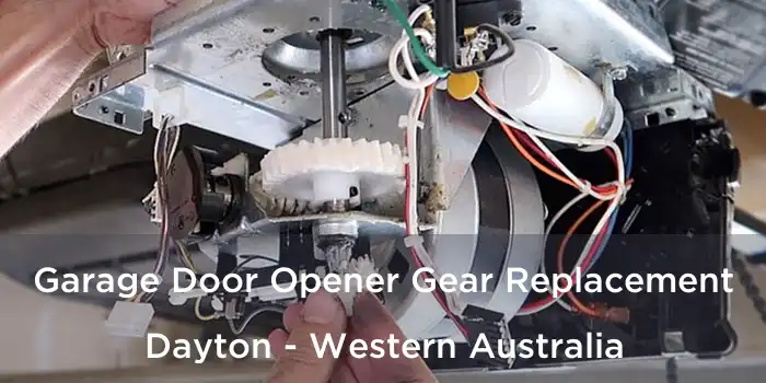 Garage Door Opener Gear Replacement Dayton - Western Australia