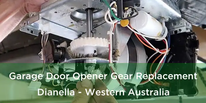 Garage Door Opener Gear Replacement Dianella - Western Australia