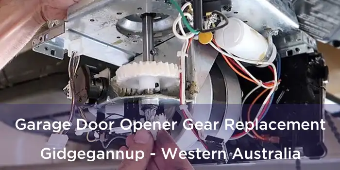 Garage Door Opener Gear Replacement Gidgegannup - Western Australia