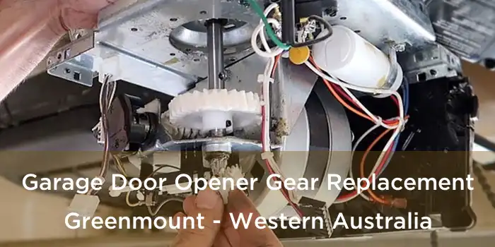 Garage Door Opener Gear Replacement Greenmount - Western Australia