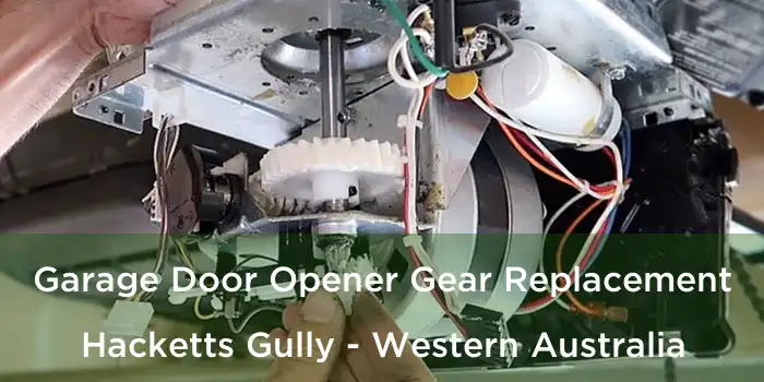 Garage Door Opener Gear Replacement Hacketts Gully - Western Australia
