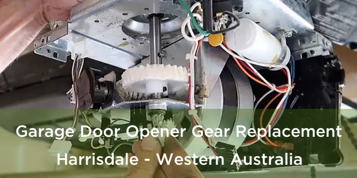 Garage Door Opener Gear Replacement Harrisdale - Western Australia