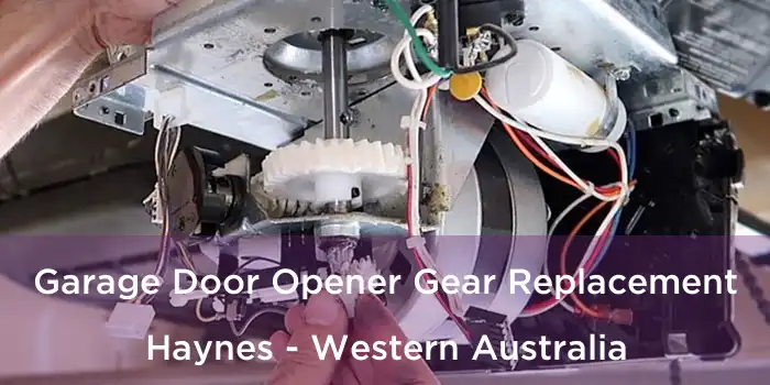 Garage Door Opener Gear Replacement Haynes - Western Australia