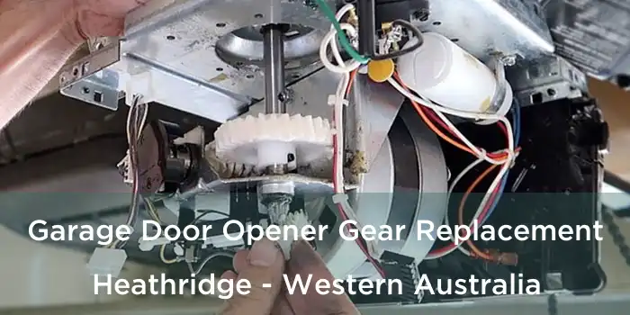 Garage Door Opener Gear Replacement Heathridge - Western Australia