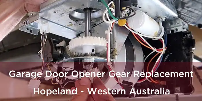Garage Door Opener Gear Replacement Hopeland - Western Australia