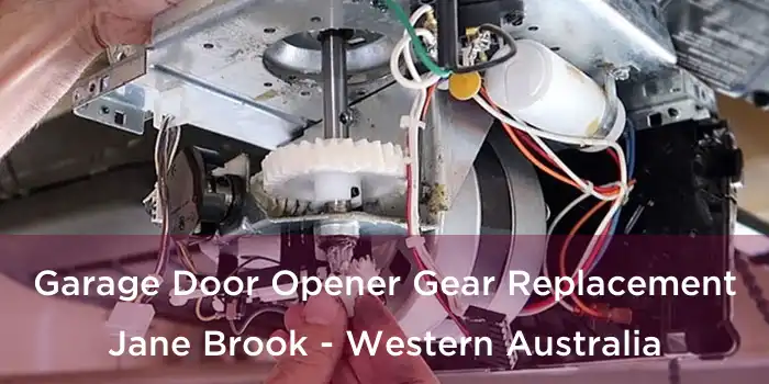 Garage Door Opener Gear Replacement Jane Brook - Western Australia