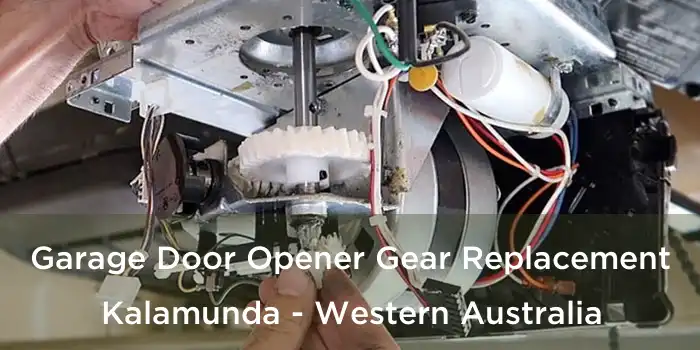 Garage Door Opener Gear Replacement Kalamunda - Western Australia