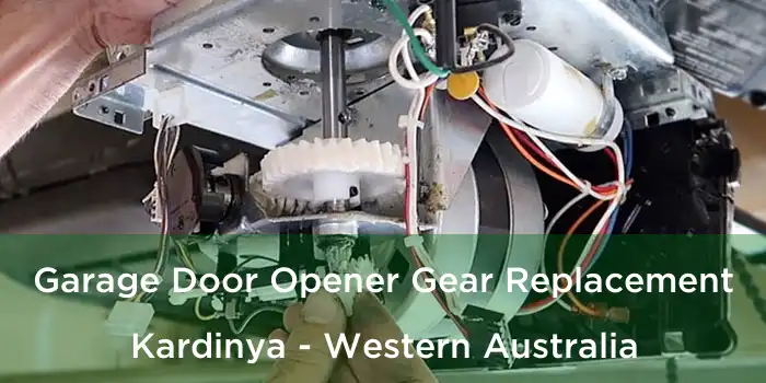 Garage Door Opener Gear Replacement Kardinya - Western Australia