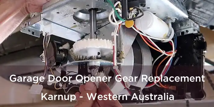 Garage Door Opener Gear Replacement Karnup - Western Australia
