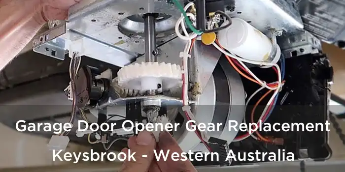 Garage Door Opener Gear Replacement Keysbrook - Western Australia
