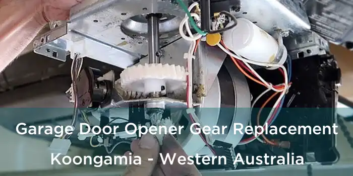 Garage Door Opener Gear Replacement Koongamia - Western Australia