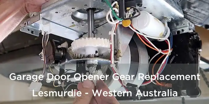 Garage Door Opener Gear Replacement Lesmurdie - Western Australia