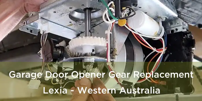 Garage Door Opener Gear Replacement Lexia - Western Australia