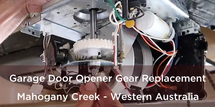 Garage Door Opener Gear Replacement Mahogany Creek - Western Australia
