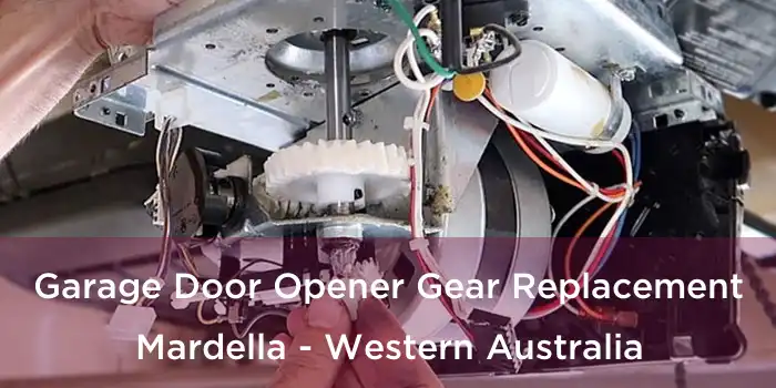 Garage Door Opener Gear Replacement Mardella - Western Australia
