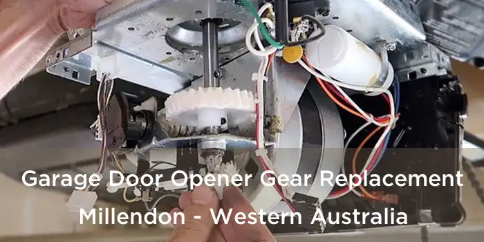 Garage Door Opener Gear Replacement Millendon - Western Australia