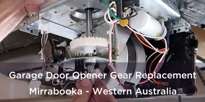Garage Door Opener Gear Replacement Mirrabooka - Western Australia