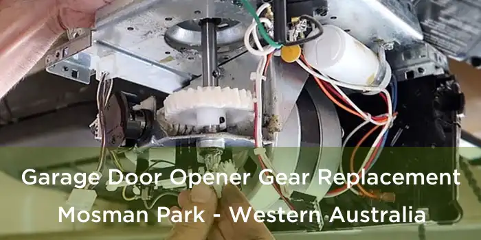 Garage Door Opener Gear Replacement Mosman Park - Western Australia