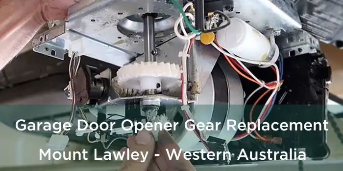 Garage Door Opener Gear Replacement Mount Lawley - Western Australia