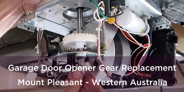 Garage Door Opener Gear Replacement Mount Pleasant - Western Australia
