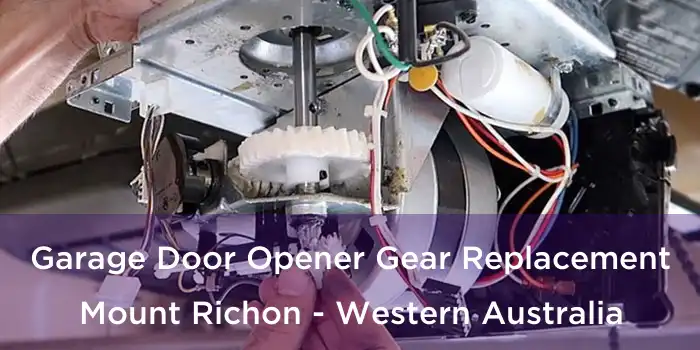 Garage Door Opener Gear Replacement Mount Richon - Western Australia
