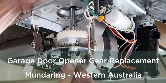 Garage Door Opener Gear Replacement Mundaring - Western Australia