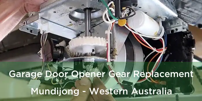 Garage Door Opener Gear Replacement Mundijong - Western Australia