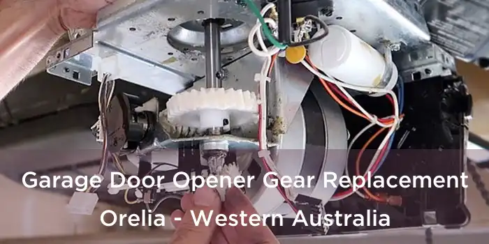 Garage Door Opener Gear Replacement Orelia - Western Australia