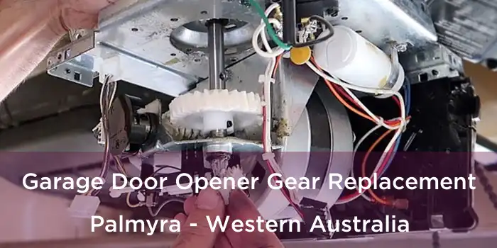 Garage Door Opener Gear Replacement Palmyra - Western Australia