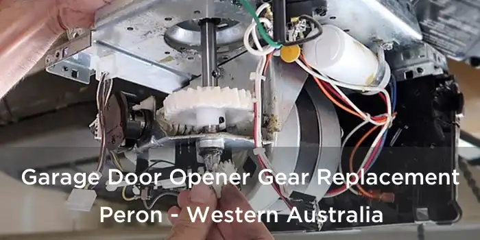 Garage Door Opener Gear Replacement Peron - Western Australia