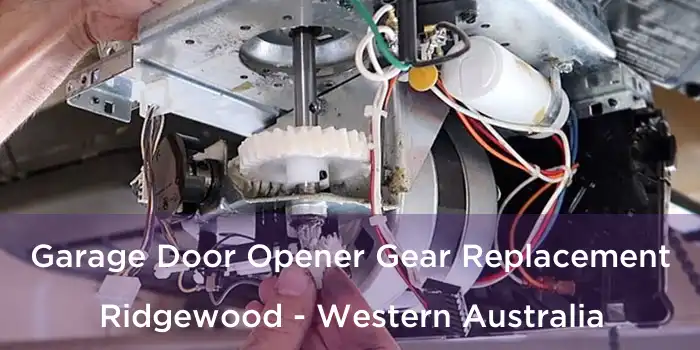 Garage Door Opener Gear Replacement Ridgewood - Western Australia