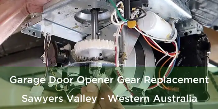 Garage Door Opener Gear Replacement Sawyers Valley - Western Australia