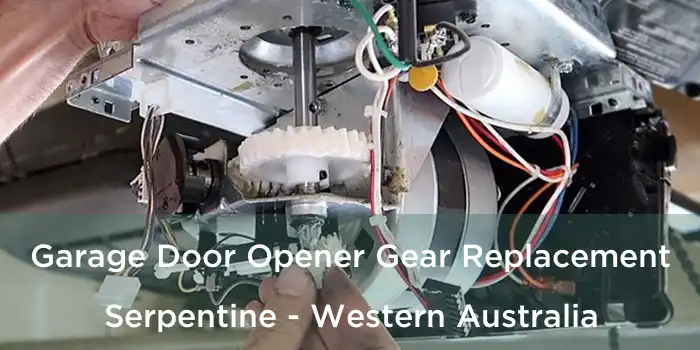 Garage Door Opener Gear Replacement Serpentine - Western Australia
