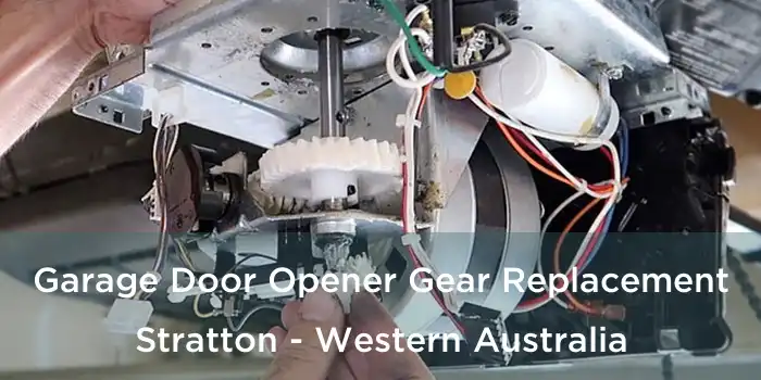 Garage Door Opener Gear Replacement Stratton - Western Australia