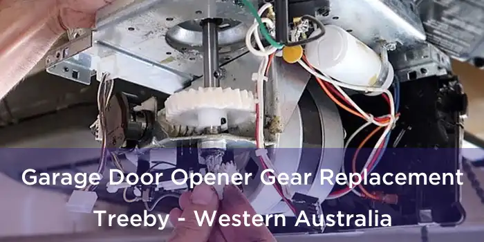 Garage Door Opener Gear Replacement Treeby - Western Australia